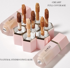 8 ml Prodotti per la cura della pelle OEM Neutro Senza Logo Concealer 10 Colore Liquid Spot Foundation