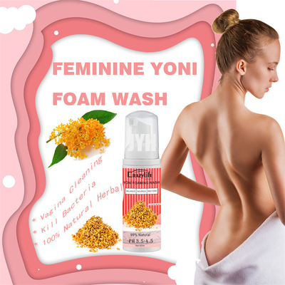 Lavaggio femminile di schiumatura naturale dell'equilibrio pH per Itching le aree intime