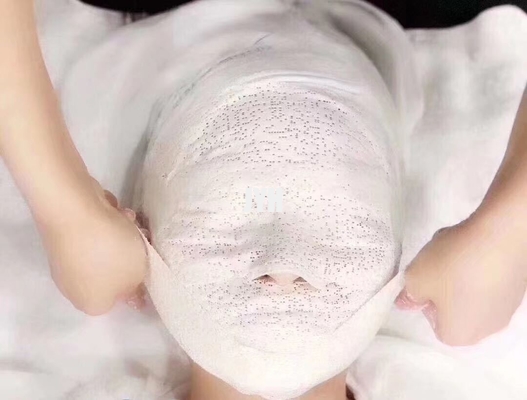 la maschera facciale della mummia 30ml che consolida il fronte di V ha liofilizzato il collagene 5d per il salone di bellezza