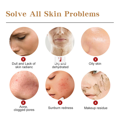polvere facciale della maschera di Rose Hyaluronic Acid Hydro Jelly della stazione termale dei prodotti di cura di pelle dell'OEM 100G DIY