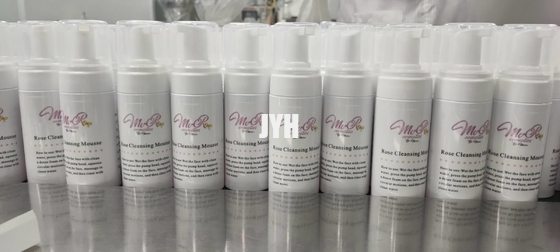 Il fronte delicato della schiuma lava il lavaggio di Rose Hip Seed Foaming Face per pelle oleosa 120ml