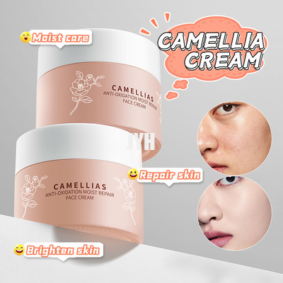 60G Prodotti OEM per la cura della pelle Fiore di Camellia Crema antiossidante idratante per la riparazione del viso